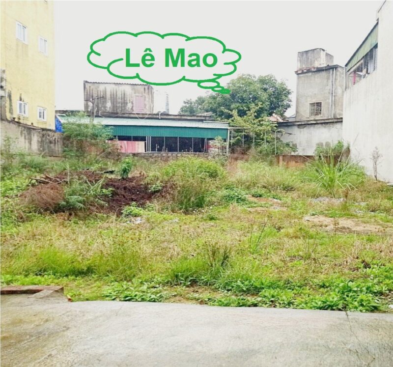 Xhung001 - Bán đất Lê Mao, trung tâm TP Vinh mà giá thấp 3