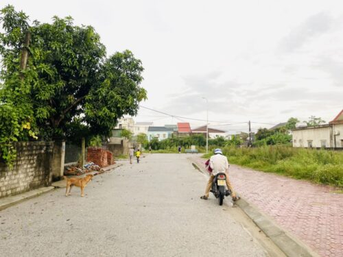 Đất đấu giá Hưng Lộc 76.5 m2, lối 2 đường Phan Văn Chí